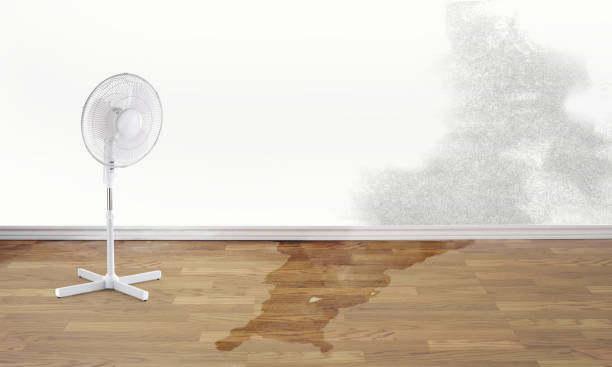 Sewage cleanup and water damage restoration in North Bennington, VT