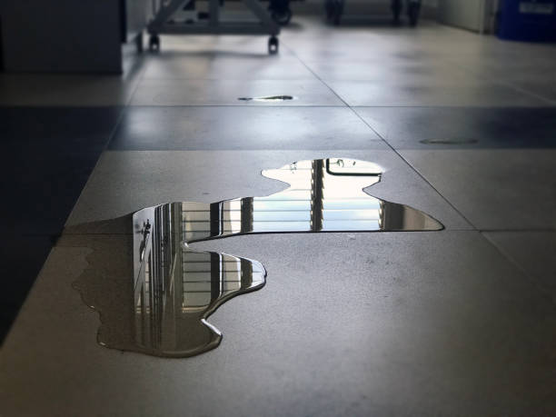 Best 24/7 water damage repair  in North Bennington, VT