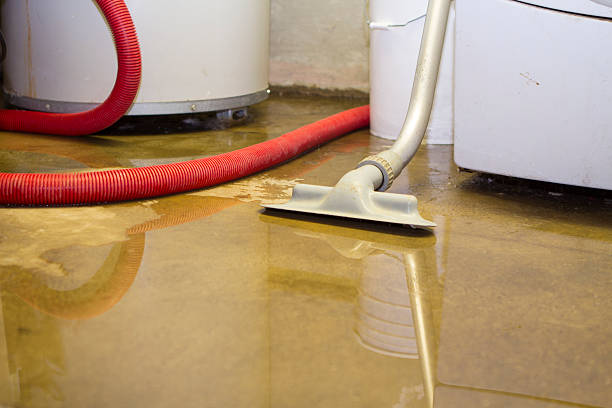 Trusted North Bennington, VT Water damage restoration Experts